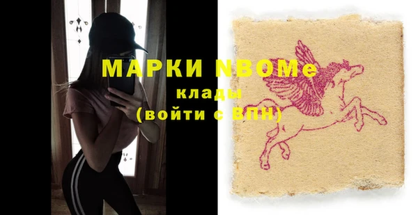 стаф Семилуки