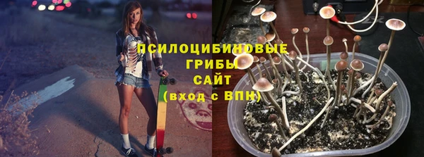 крисы Абинск