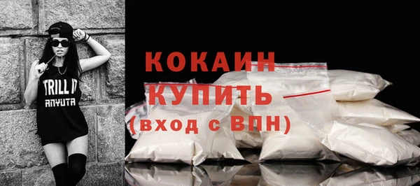 стаф Семилуки